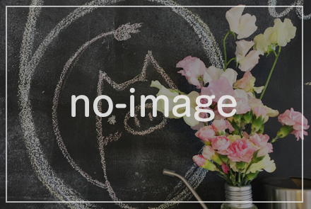 noimage